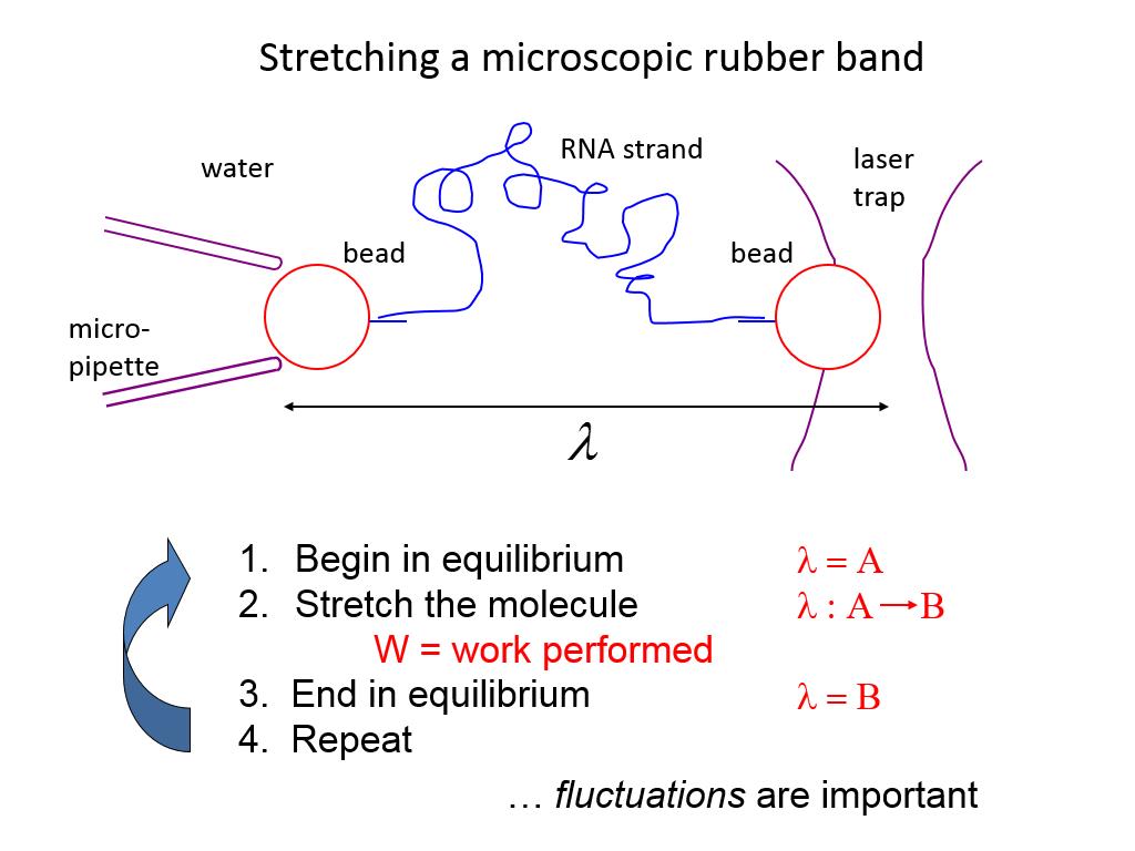 Stretching a microscopic rubber band