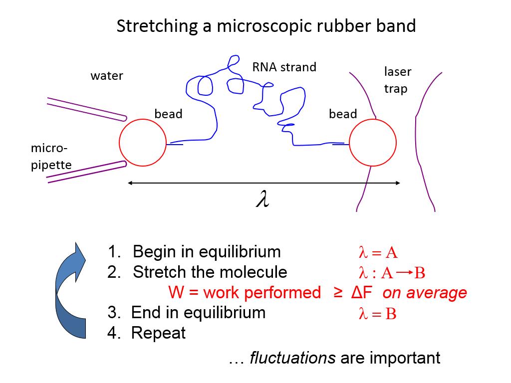 Stretching a microscopic rubber band