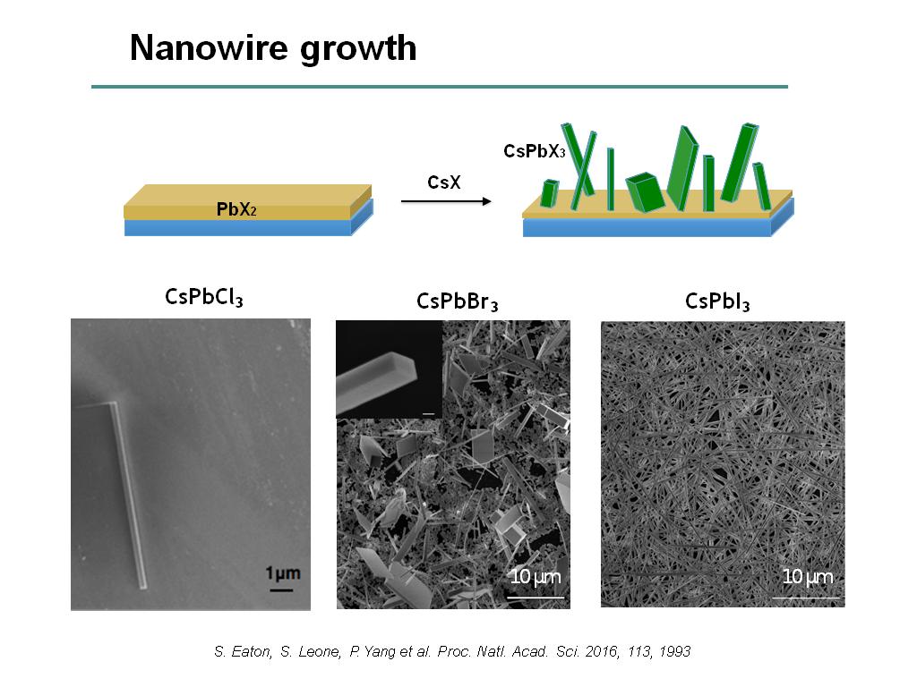 Nanowire growth