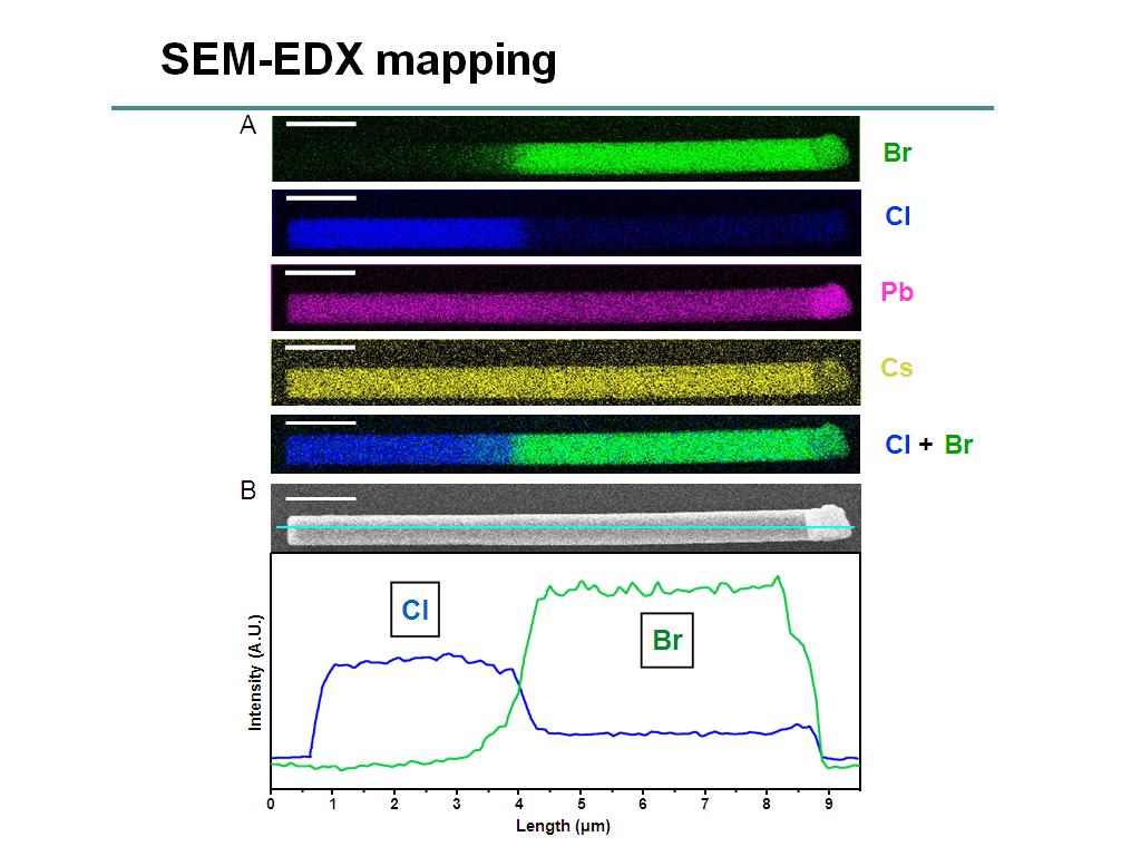 SEM-EDX mapping