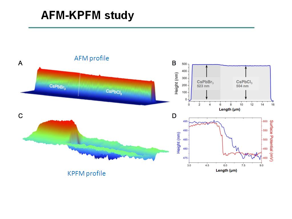 AFM-KPFM study