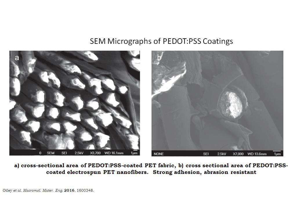 SEM Micrographs of PEDOT:PSS Coatings