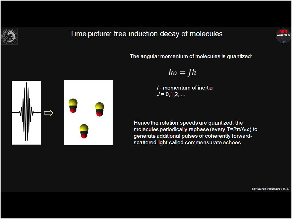 Time picture: free induction decay of molecules