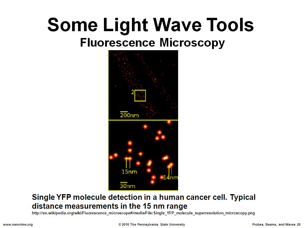 Some Light Wave Tools Fluorescence Microscopy