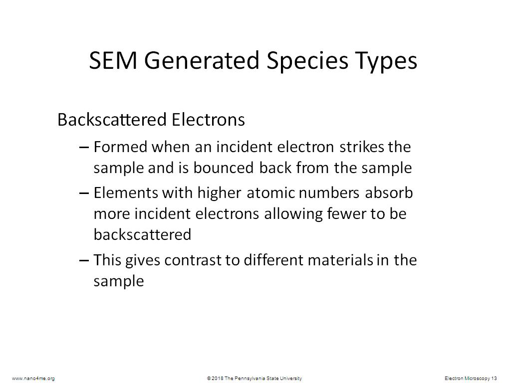 SEM Generated Species Types
