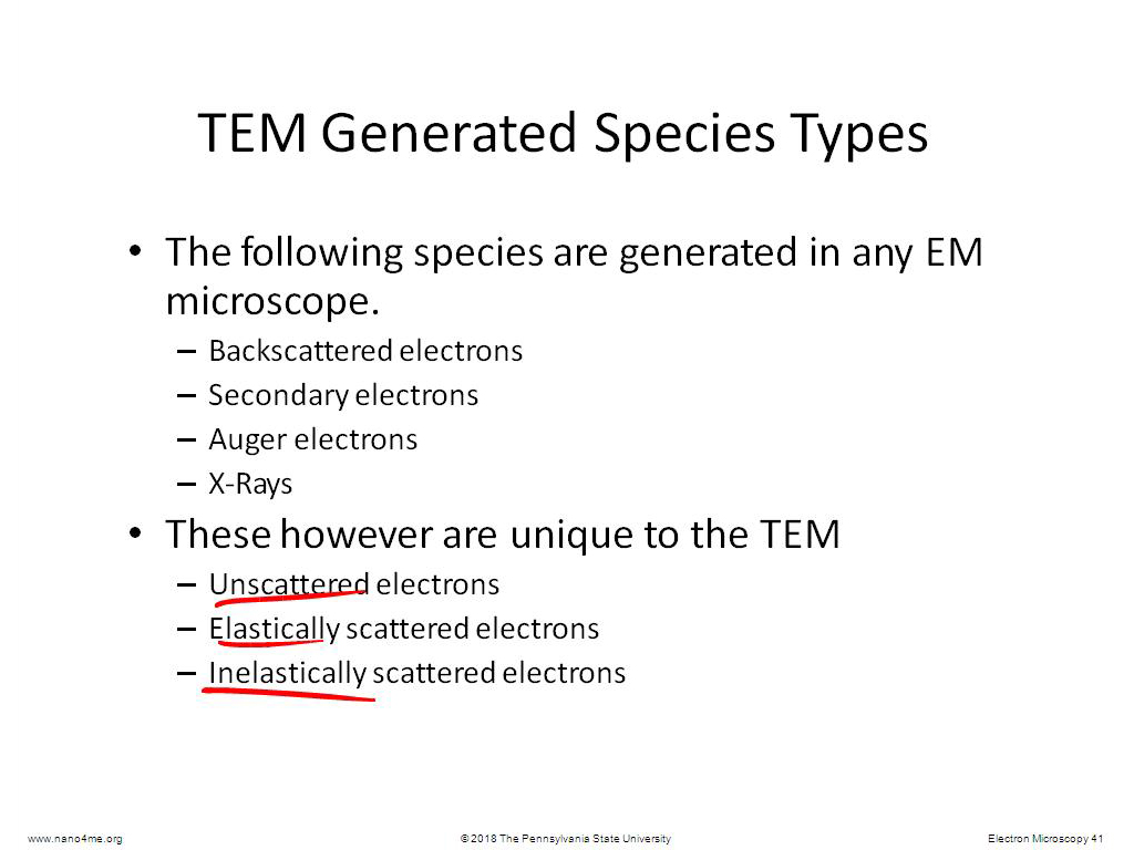 TEM Generated Species Types