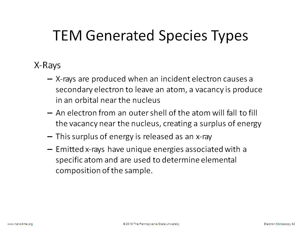 TEM Generated Species Types