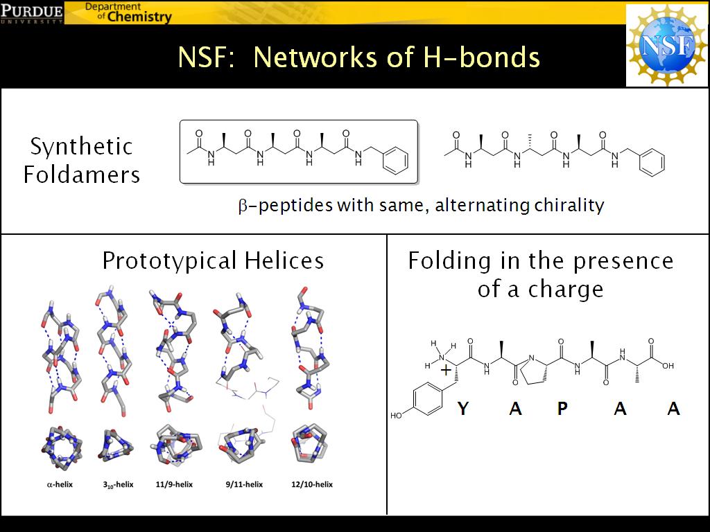 NSF: Networks of H-bonds