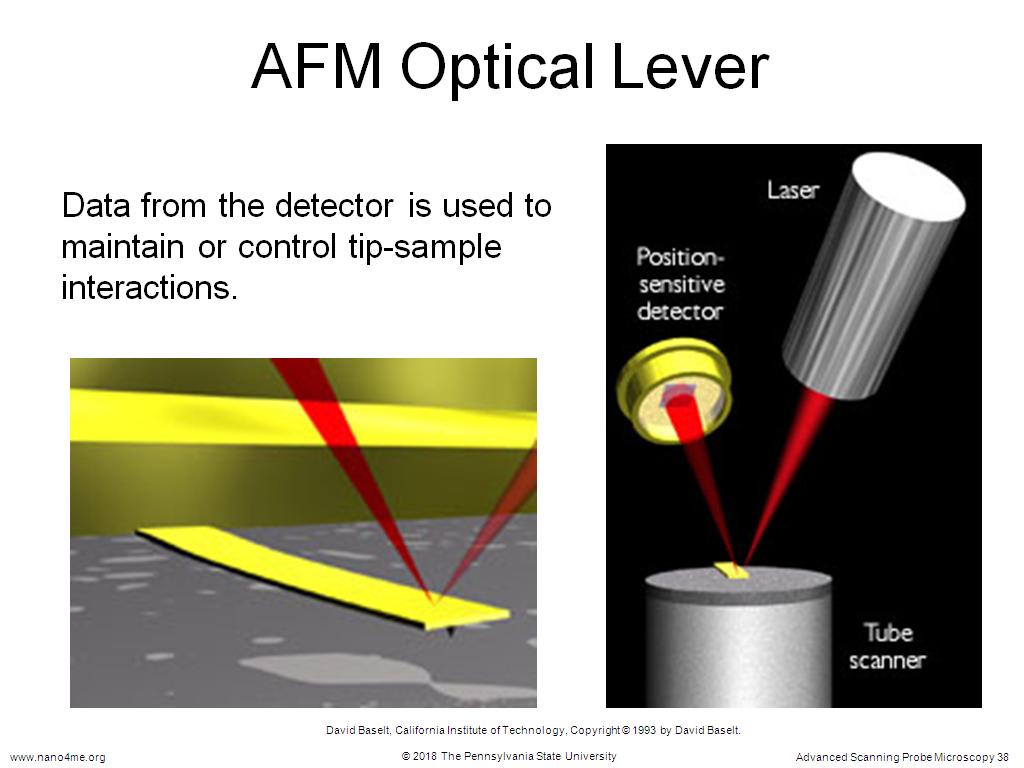 AFM Optical Lever