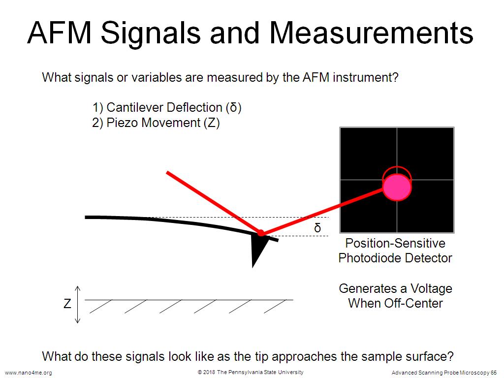 AFM Signals and Measurements