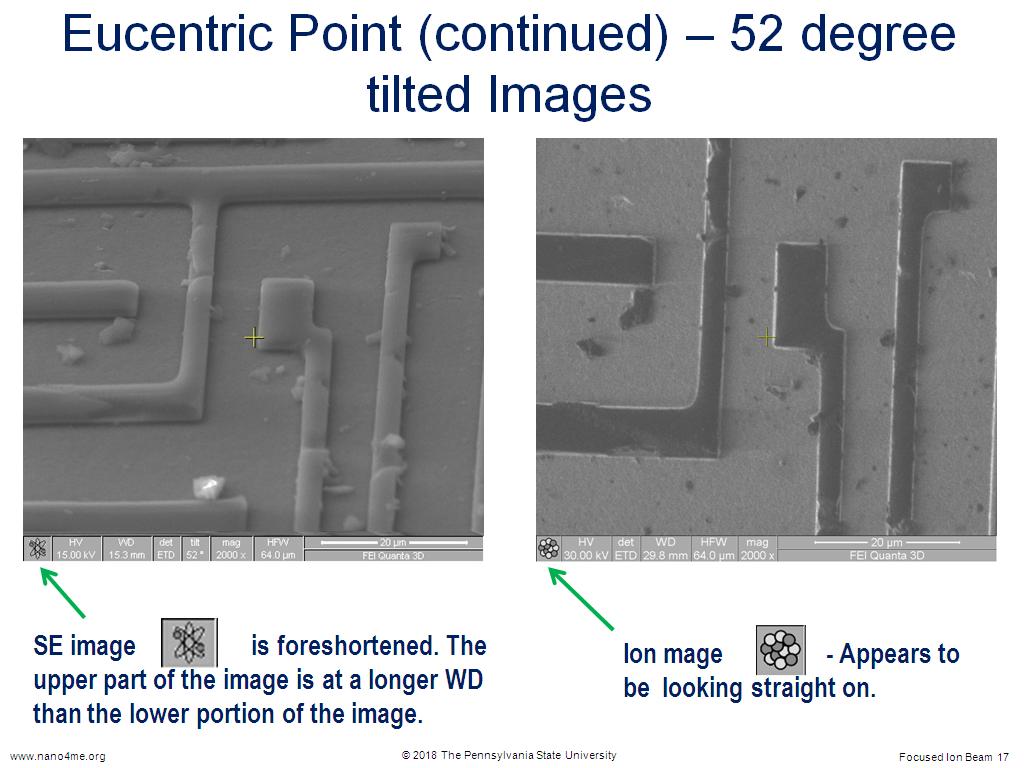 Eucentric Point (continued) – 52 degree tilted Images