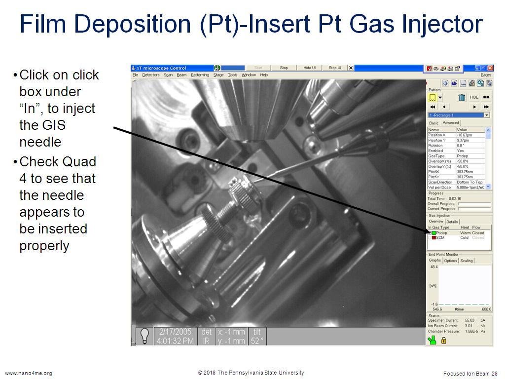 Film Deposition (Pt)-Insert Pt Gas Injector