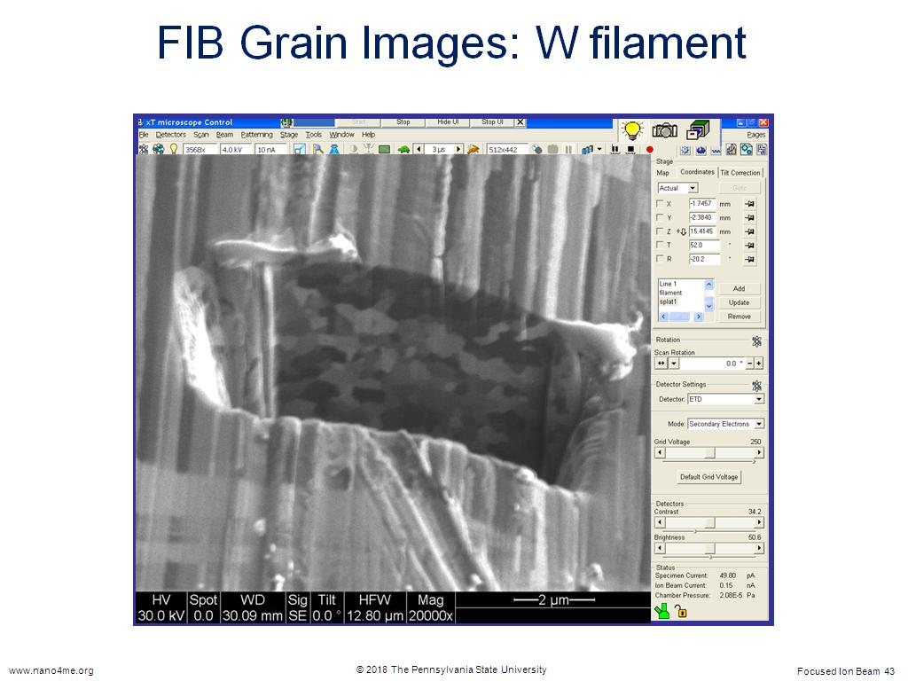 FIB Grain Images: W filament