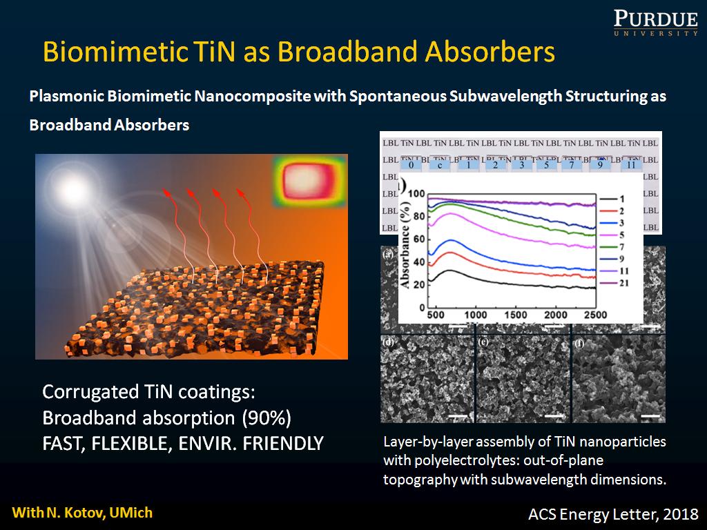 Biomimetic TiN as Broadband Absorbers