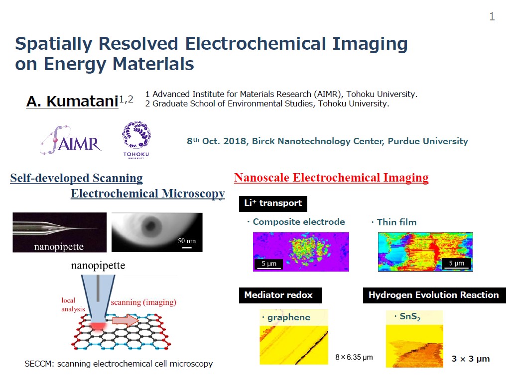 Spatially Resolved Electrochemical Imaging on Energy Materials