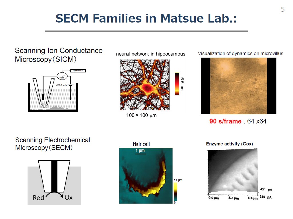 SECM Families in Matsue Lab.: