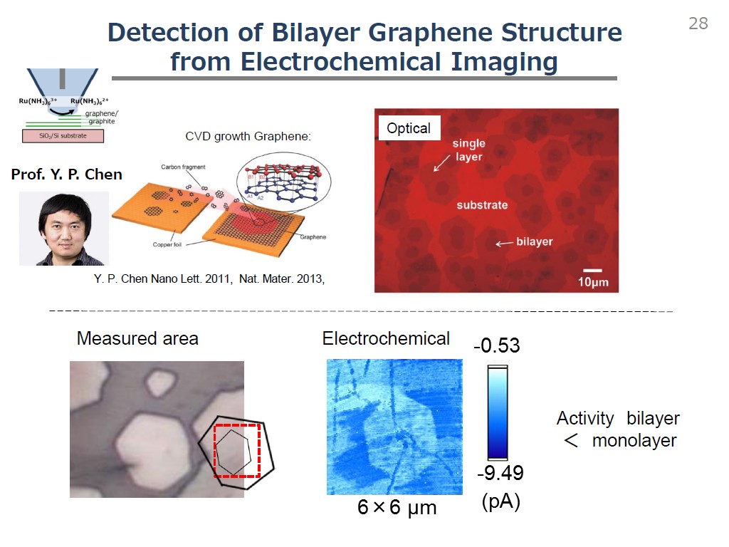 Detection of Bilayer Graphene Structure from Electrochemical Imaging
