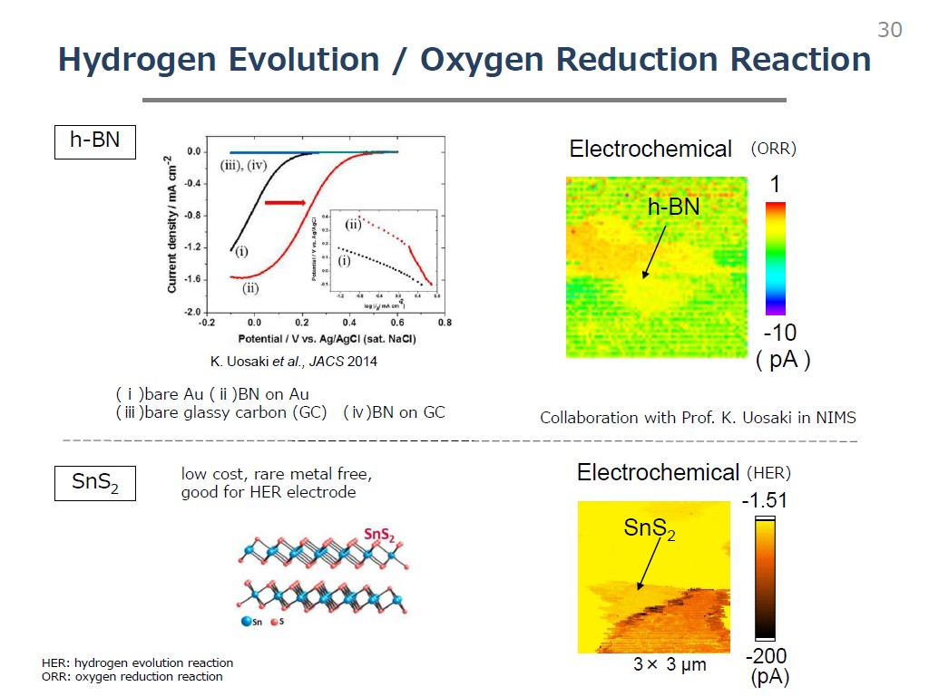 Hydrogen Evolution / Oxygen Reduction Reaction
