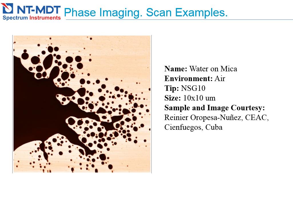 Phase Imaging. Scan Examples.
