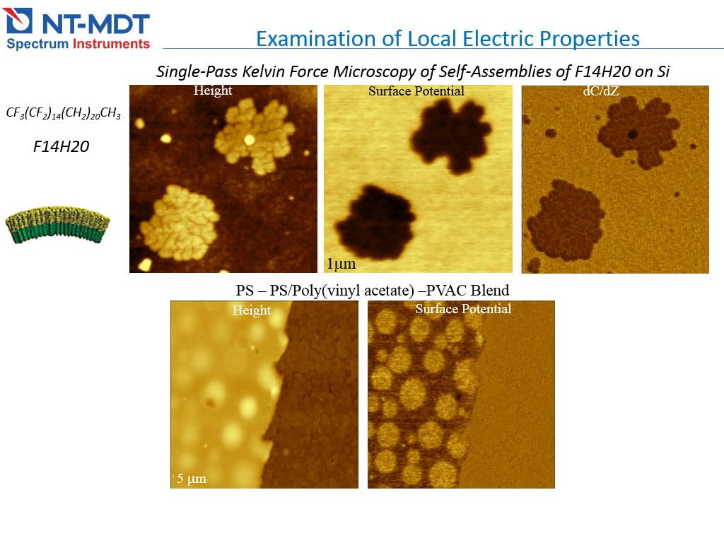 Examination of Local Electric Properties