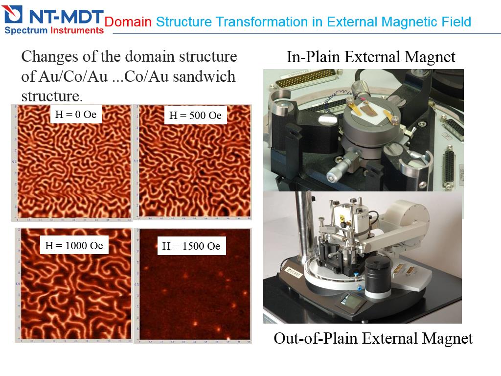 Domain Structure Transformation in External Magnetic Field