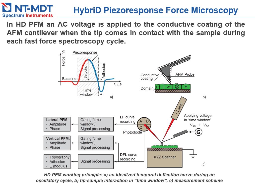 HybriD Piezoresponse Force Microscopy