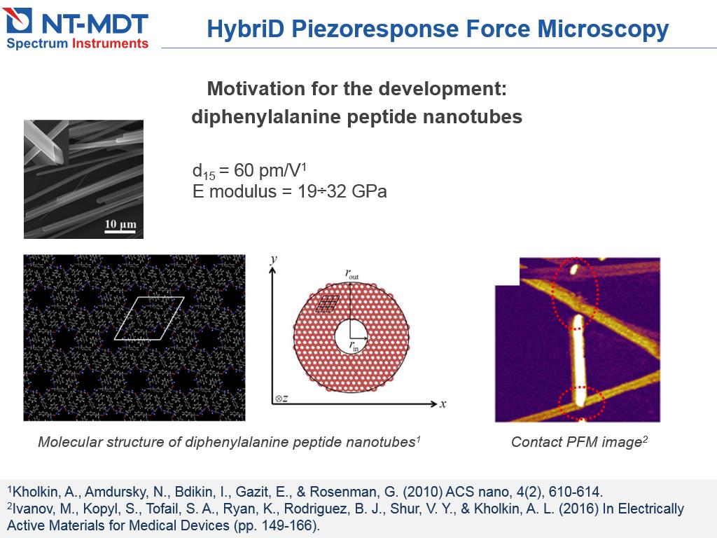 HybriD Piezoresponse Force Microscopy