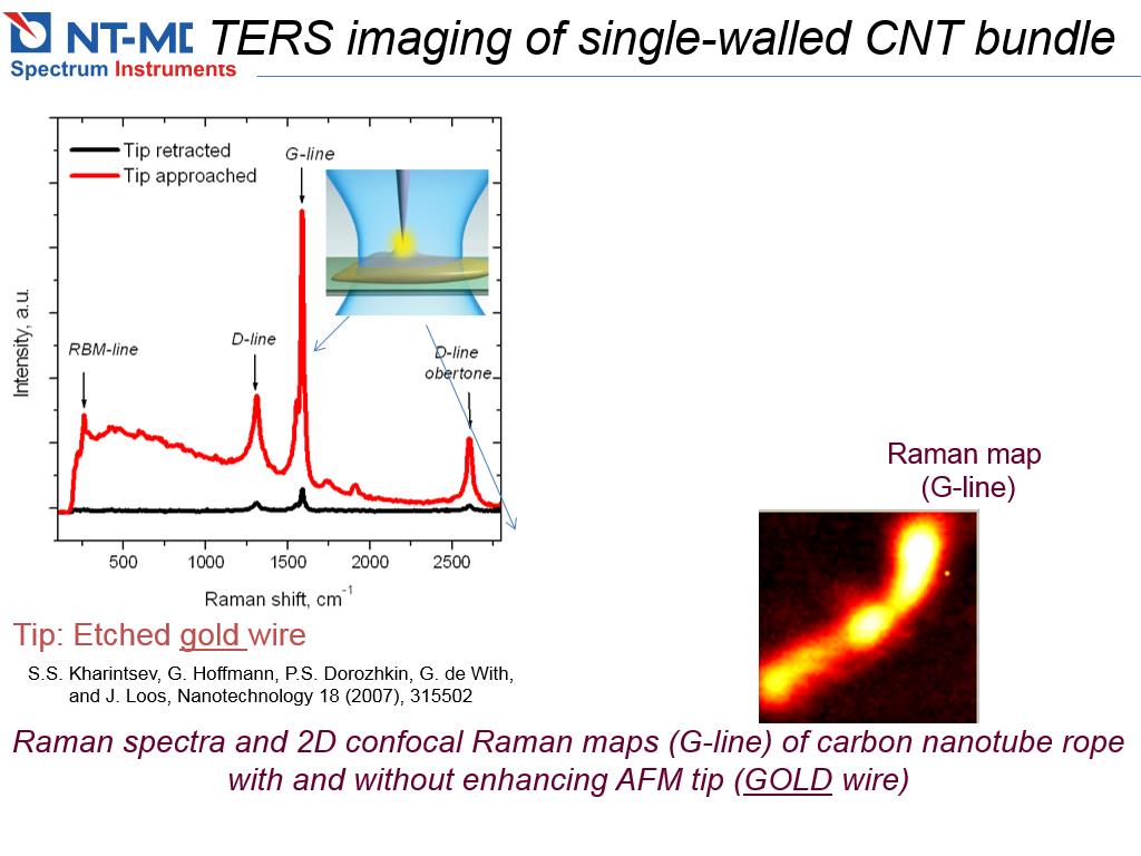 TERS imaging of single-walled CNT bundle