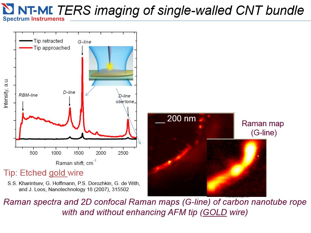 TERS imaging of single-walled CNT bundle