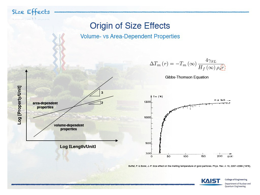 Origin of Size Effects Volume- vs Area-Dependent Properties