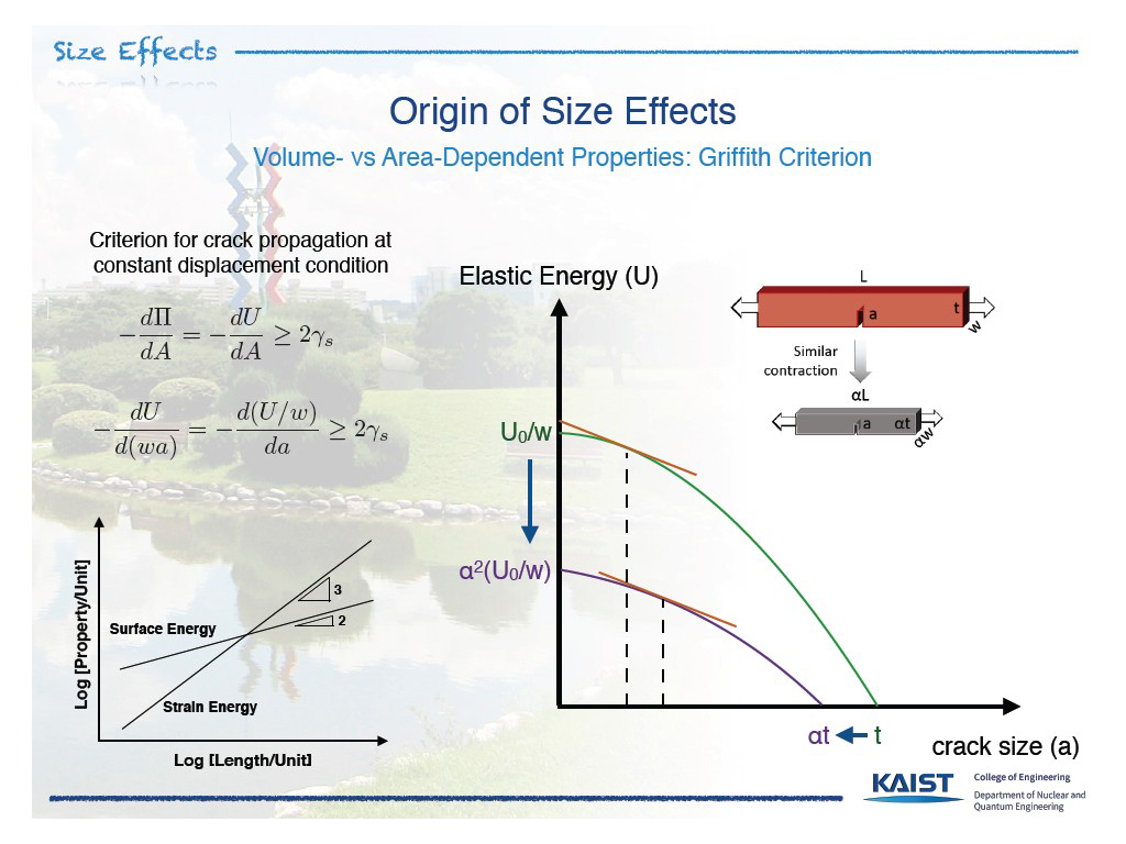 Size Effects Origin of Size Effects Volume- vs Area-Dependent Properties