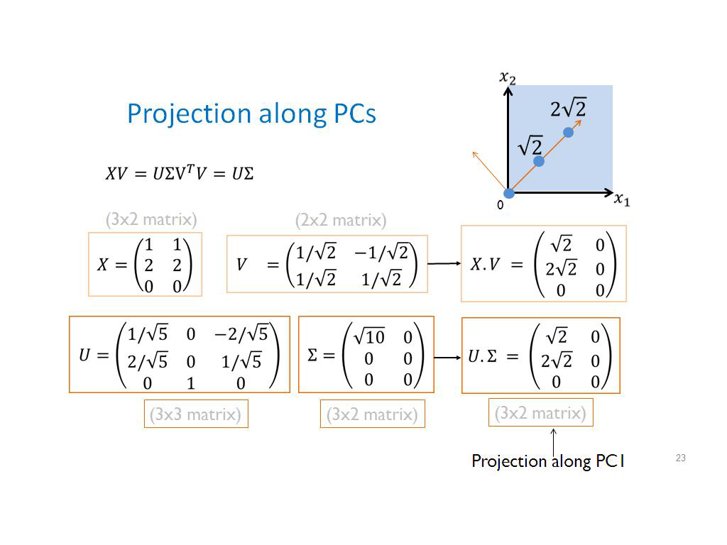 Projection along PCs