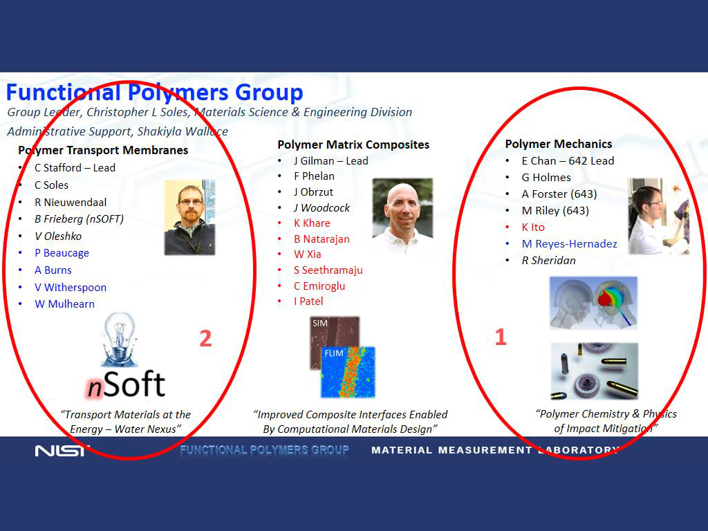 Functional Polymers Group