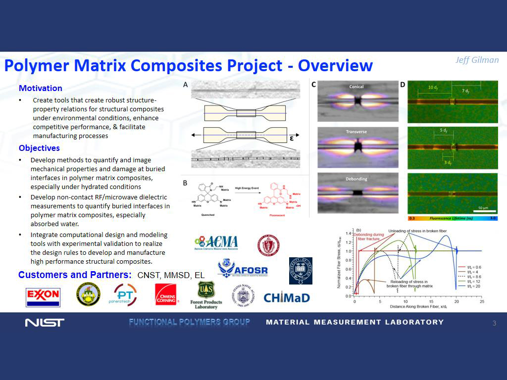 Polymer Matrix Composites Project - Overview