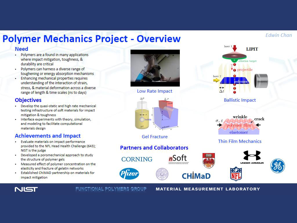 Polymer Mechanics Project - Overview
