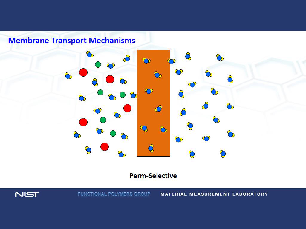 Membrane Transport Mechanisms