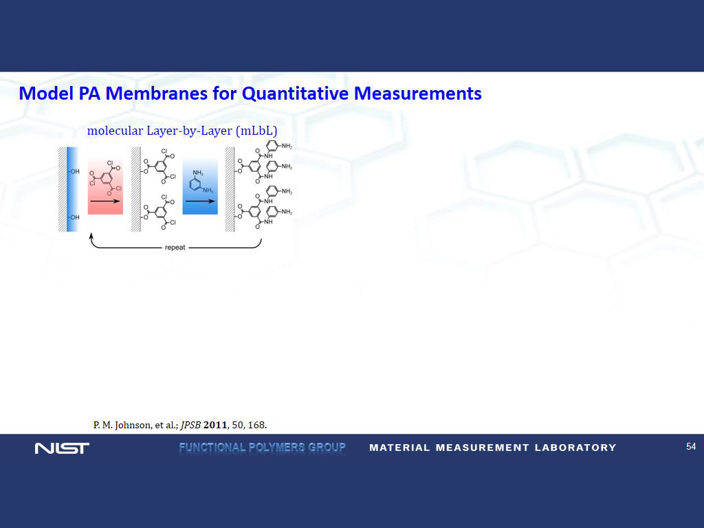 Model PA Membranes for Quantitative Measurements