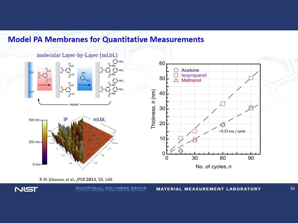 Model PA Membranes for Quantitative Measurements