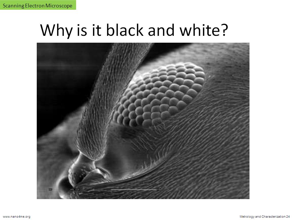 Why is it black and white?