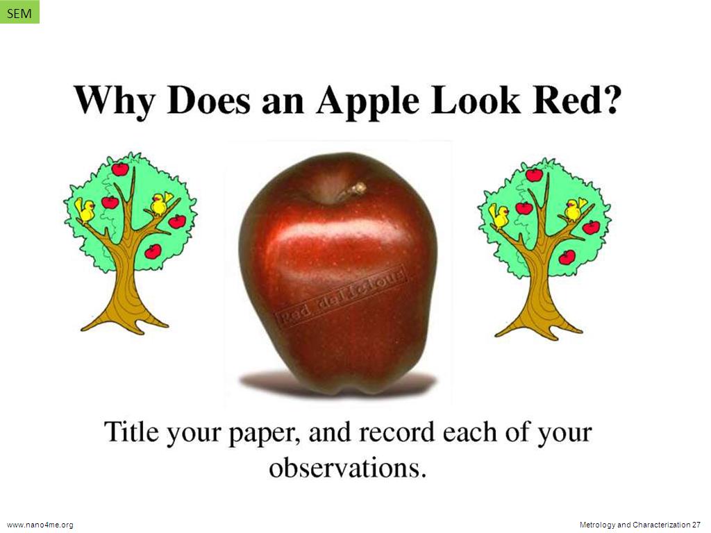 Why Does an Apple Look Red?