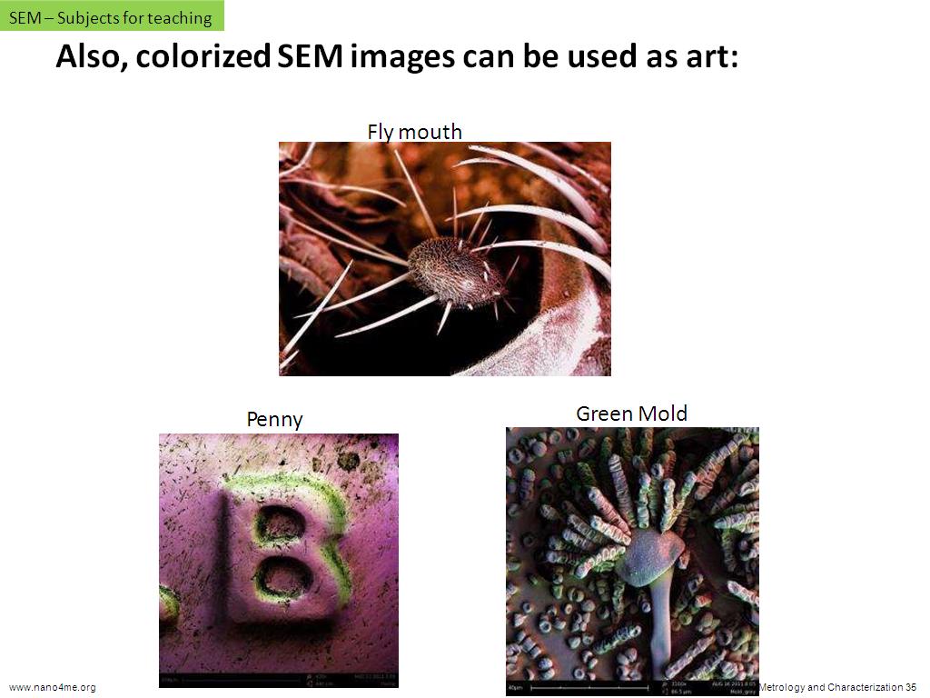 Also, colorized SEM images can be used as art: