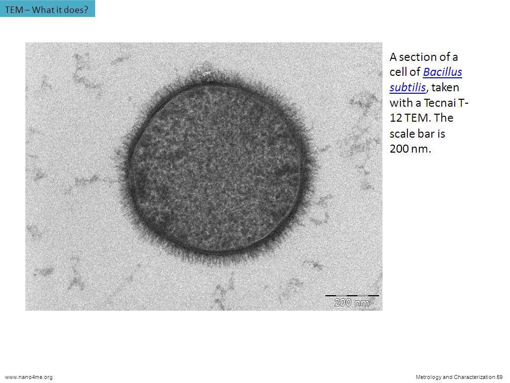 TEM – What it does?