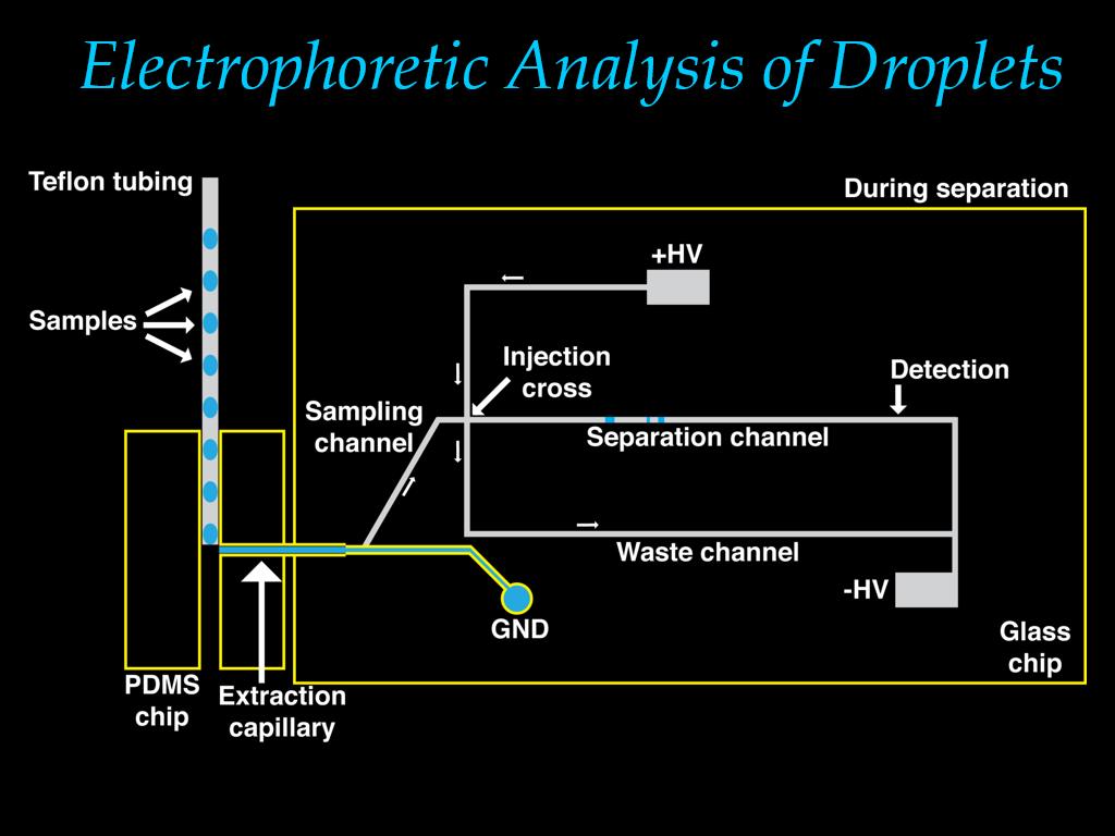Electrophoretic Analysis of Droplets