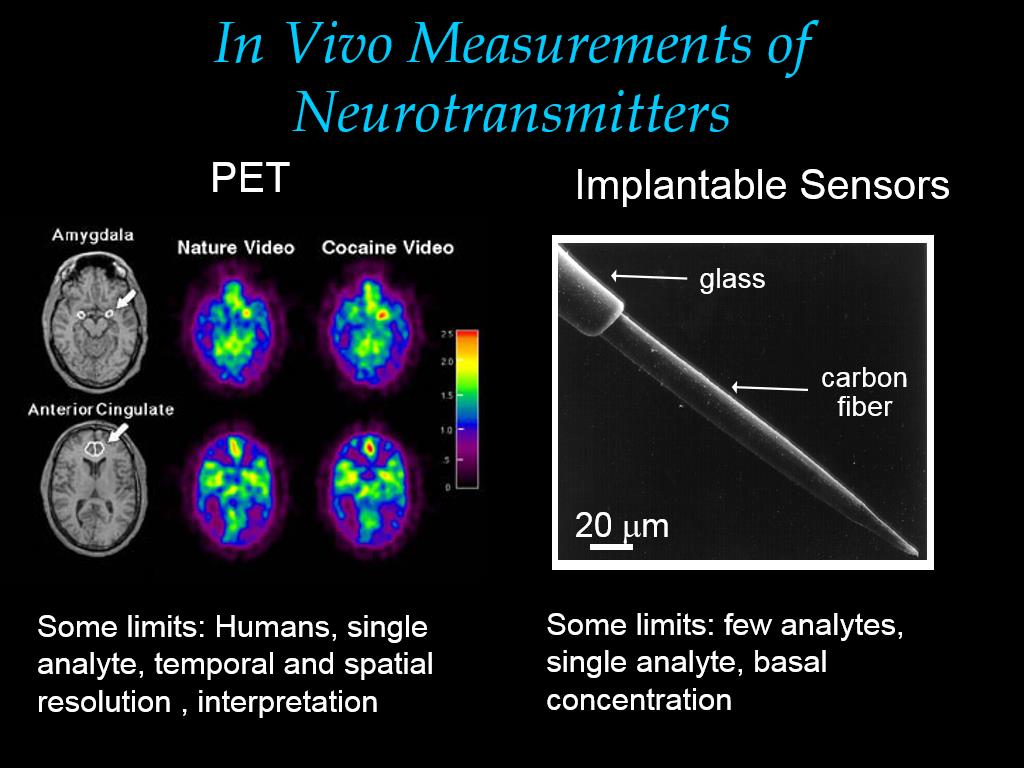 In Vivo Measurements of Neurotransmitters