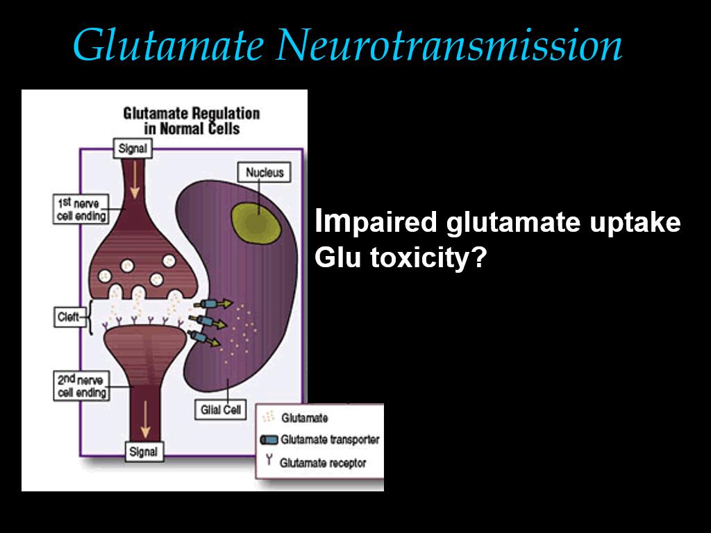 Glutamate Neurotransmission