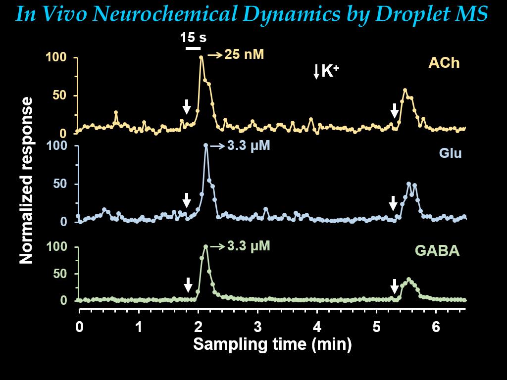 In Vivo Neurochemical Dynamics by Droplet MS