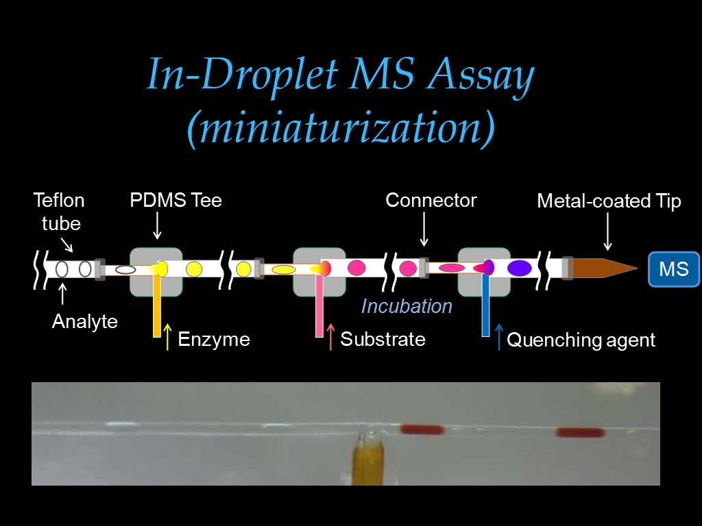 In-Droplet MS Assay (miniaturization)