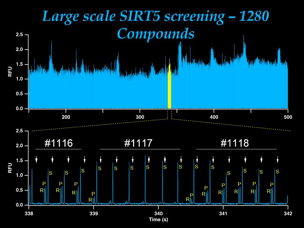 Large scale SIRT5 screening – 1280 Compounds