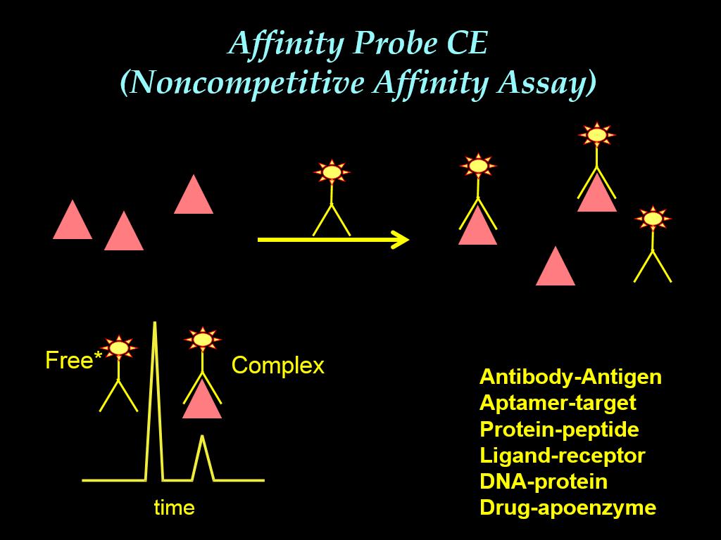 Affinity Probe CE (Noncompetitive Affinity Assay)