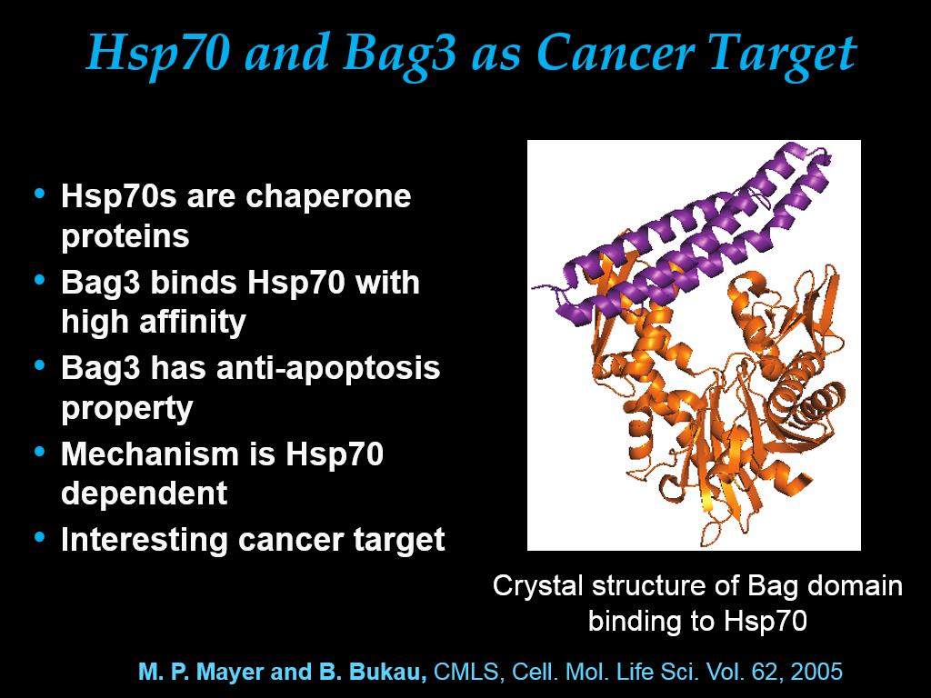 Hsp70 and Bag3 as Cancer Target